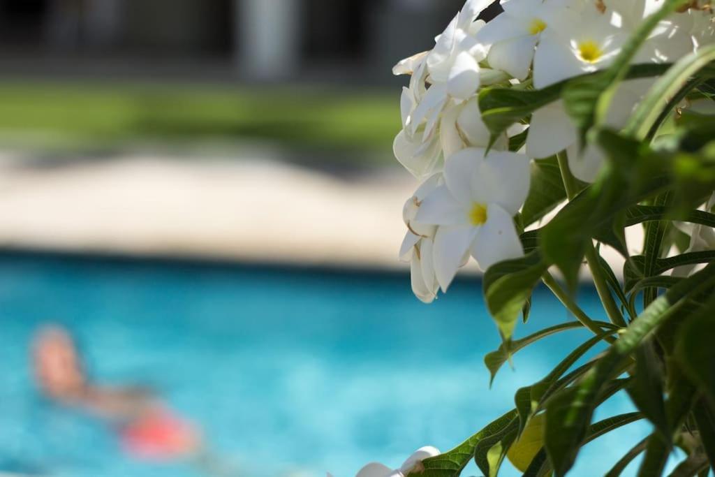 Goudhaen Luxury Private Apartments Jan Thiel Beach Zewnętrze zdjęcie